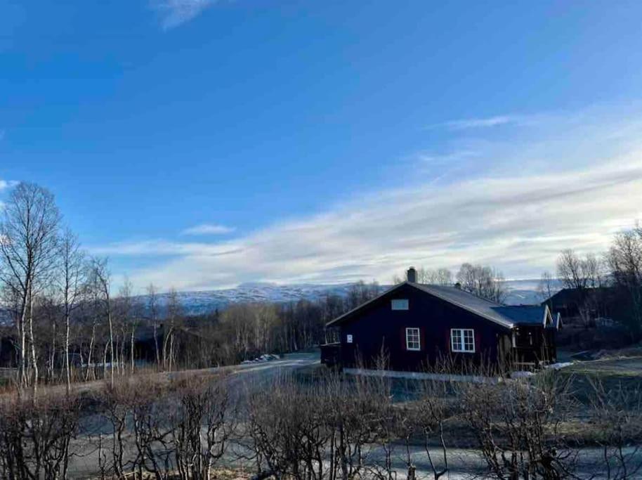 Beitostolen Sentralro Villa Buitenkant foto